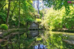 Alfred Nicholas Memorial Gardens, Victoria