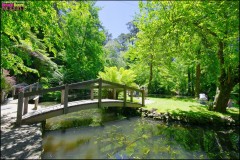 Alfred Nicholas Memorial Gardens, Victoria