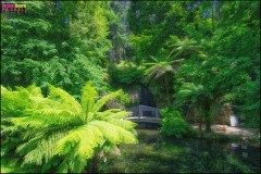 Alfred Nicholas Memorial Gardens, Victoria