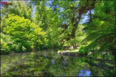 Alfred Nicholas Memorial Gardens, Victoria