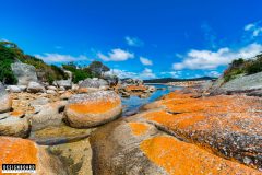 Bay of Fires, Tasmania