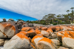 Bay of Fires, Tasmania