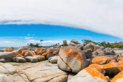 Bay of Fires, Tasmania