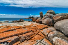 Bay of Fires, Tasmania