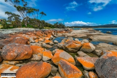 Bay of Fires, Tasmania