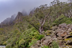 Ben Lomond, Tasmania