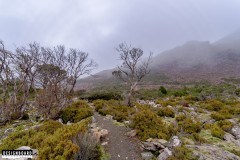 Ben Lomond, Tasmania