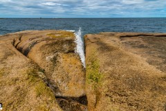 Bicheno Blowhole