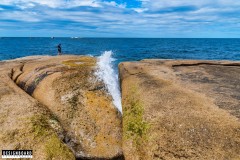 Bicheno Blowhole