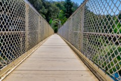 Cataract Gorge