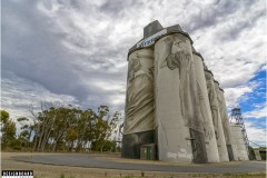 Coonalpyn Silo Murals