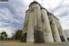 Coonalpyn Silo Murals