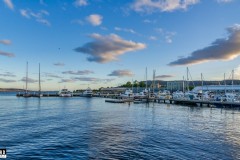 Elizabeth Street Pier