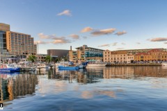 Elizabeth Street Pier