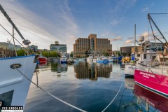 Elizabeth Street Pier