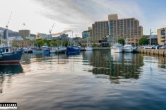 Elizabeth Street Pier