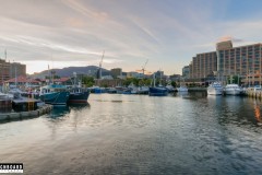 Elizabeth Street Pier