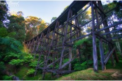 Noojee Trestle Bridge