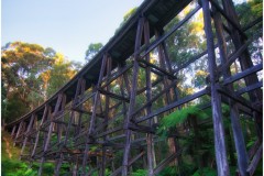 Noojee Trestle Bridge