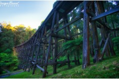 Noojee Trestle Bridge