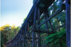 Noojee Trestle Bridge