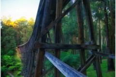 Noojee Trestle Bridge