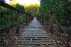 Noojee Trestle Bridge