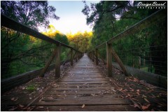 Noojee Trestle Bridge