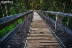 Noojee Trestle Bridge