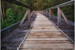 Noojee Trestle Bridge