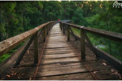 Noojee Trestle Bridge