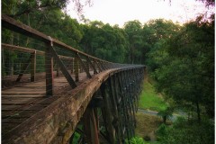 Noojee Trestle Bridge