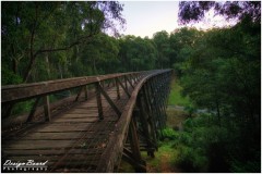 Noojee Trestle Bridge