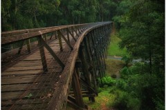 Noojee Trestle Bridge