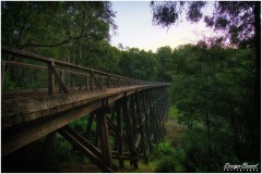 Noojee Trestle Bridge