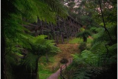 Noojee Trestle Bridge