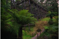 Noojee Trestle Bridge