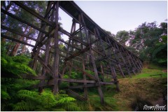 Noojee Trestle Bridge