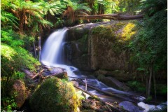 Toorongo and Amphitheatre Falls, Victoria