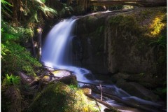 Toorongo and Amphitheatre Falls, Victoria