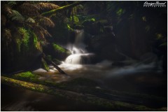 Toorongo and Amphitheatre Falls, Victoria