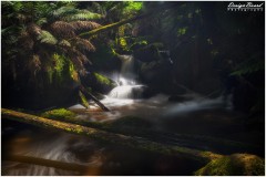 Toorongo and Amphitheatre Falls, Victoria