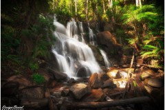 Toorongo and Amphitheatre Falls, Victoria