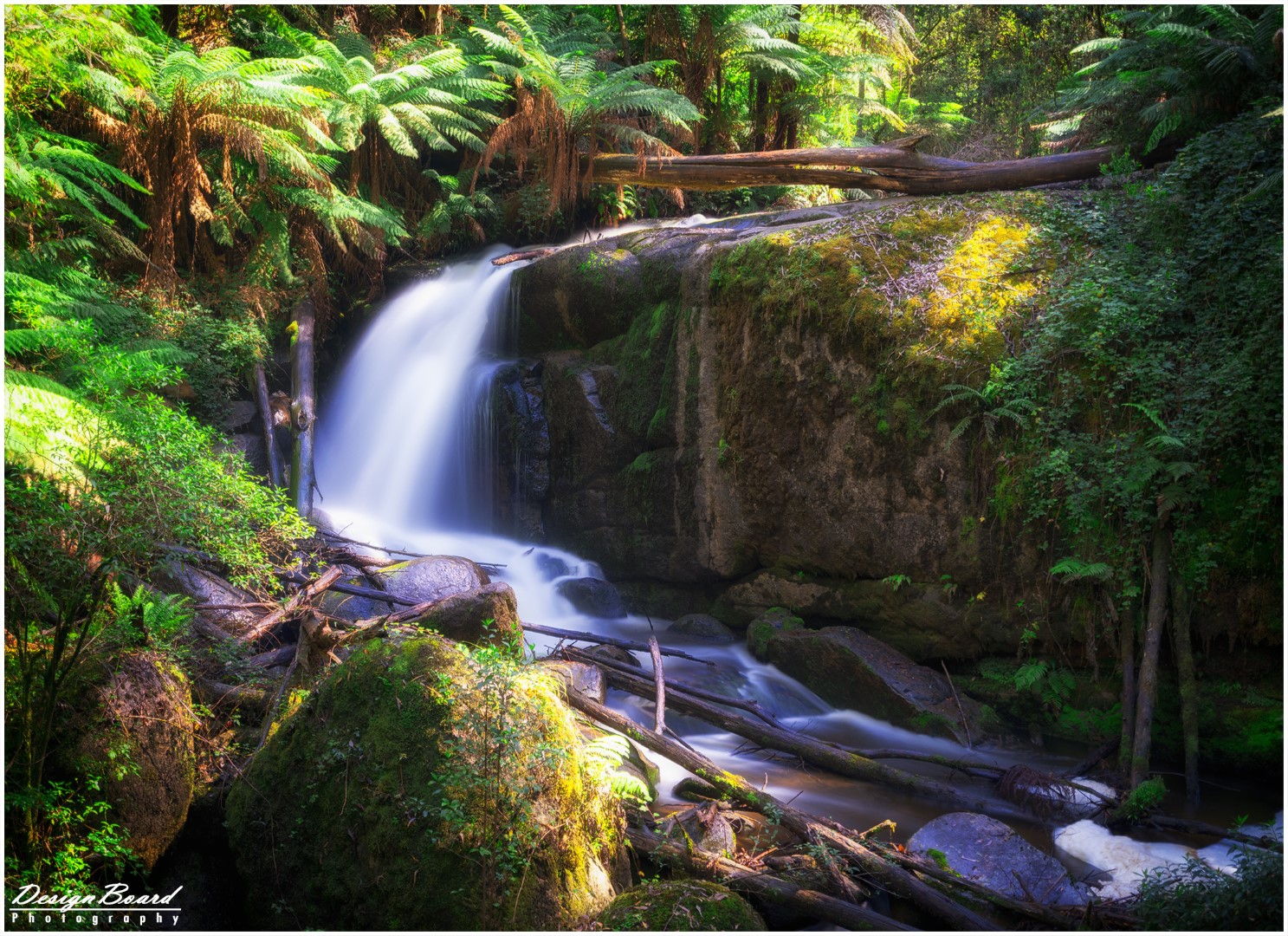 Toorongo & Amphitheater Waterfalls